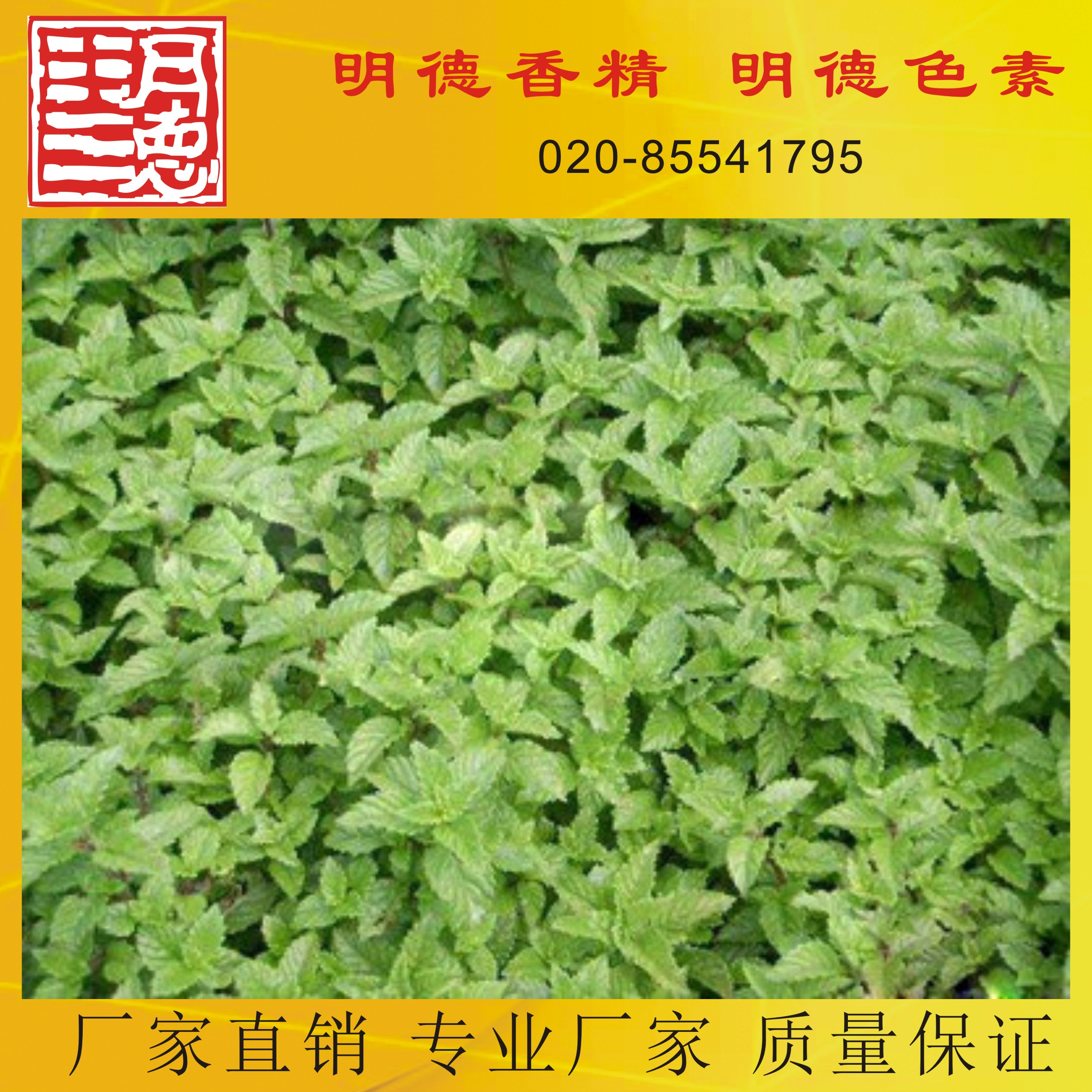 �c���鿴Ԕ��